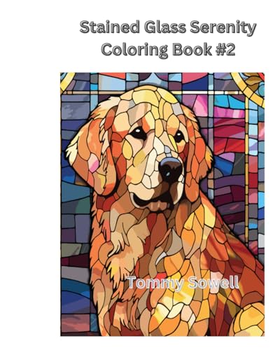 Stained Glass Serenity coloring book von Independently published